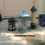 Filled the bird feeders