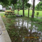 Lake in my yard (2)