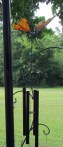 Butterfly wind chimes