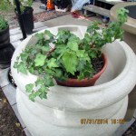 A planter in the top