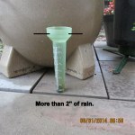 Rain gauge