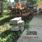 For the picnic table