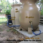 Lots of water for the plants