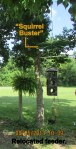 Relocated bird feeder