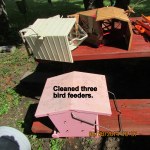 Cleaned bird feeders