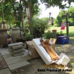 Saint Francis of Asissi