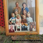 Mildew or mold at bottom of picture