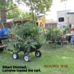 He trimmed; I loaded