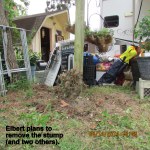 The stump will be removed