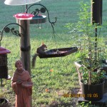 From my living-room window.