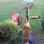 Saint Francis with sunshine on his face.