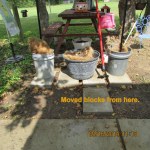 Blocked moved from here