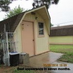 Best appearance in seven months