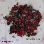 Potpourri