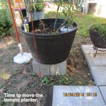 Time to move the planter