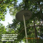 Satellite dish tarp support