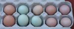 Colored eggs