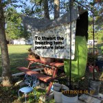 To thwart the freezing temperatures