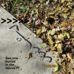 One anchor in the ground