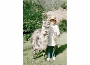 Lorraine with Llama