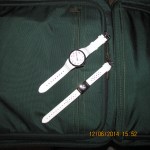 Philip Stein watch & bracelet (1)