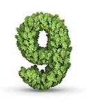 Nine with green leaves