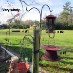 Filled three bird feeders