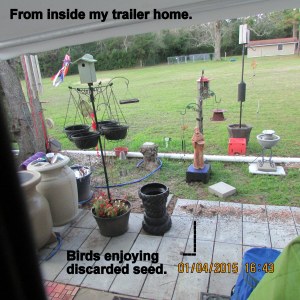 From inside my trailer