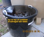 Ice on rain water barrel
