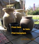 From one planter to another