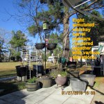 Simulated whiskey barrel planters