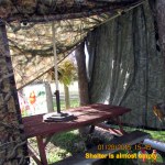 Shelter is almost empty