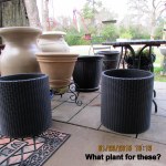 Planters for the patio
