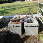 Root out and blocks leveled