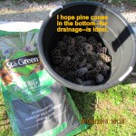 Pine cones for drainage