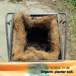 Organic planter soil (2)