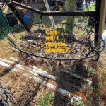 Recycle this coco fiber?