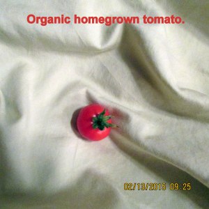 Homegrown tomato