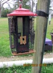 Empty red-top feeder