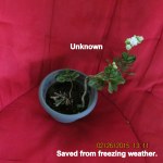 Unknown saved from freezing weather