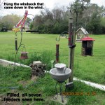 Refilled seven feeders