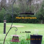 Filled bird feeders