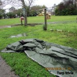 Tarp trivia