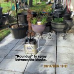 Roundup weed killer