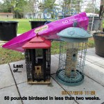 Last of 50# bag of birdseed