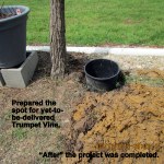 "After" picture of project