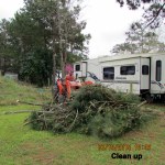 Pine branch clean up
