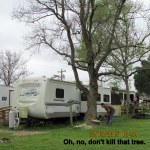 Oh no don't kill that tree