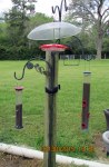 Hummingbird feeder (1)