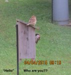 The victorious couple